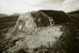 Boglands 2/43, 1996