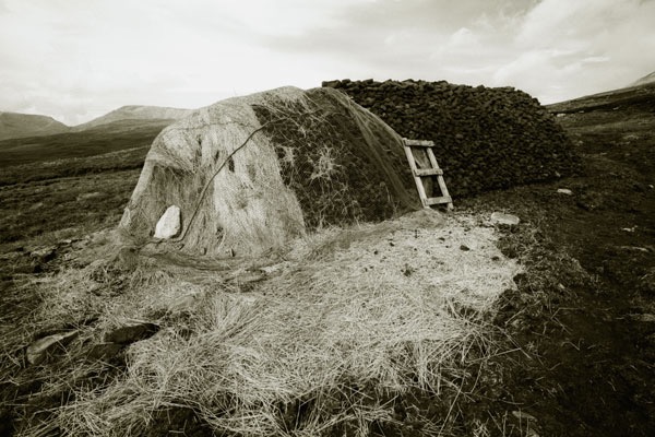 Boglands 2/43, 1996