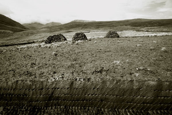 Boglands 2/44, 1996