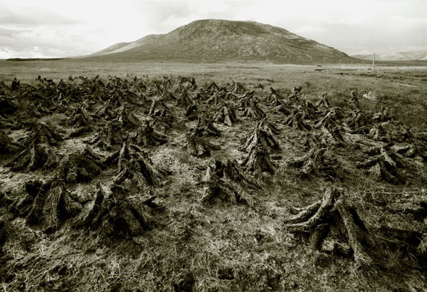 Boglands 2/47, 1996