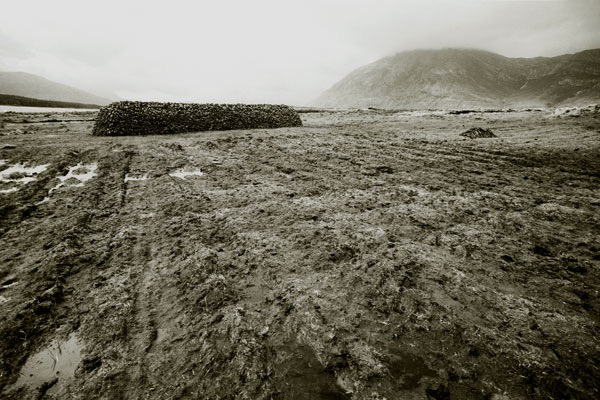 Boglands 2/50, 1996