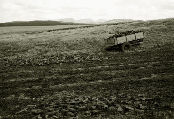 Boglands 3/5, 2004