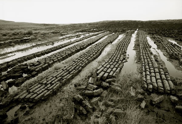 Boglands 3/31, 2004