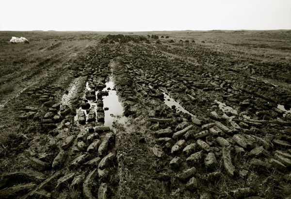Boglands 3/32, 2004
